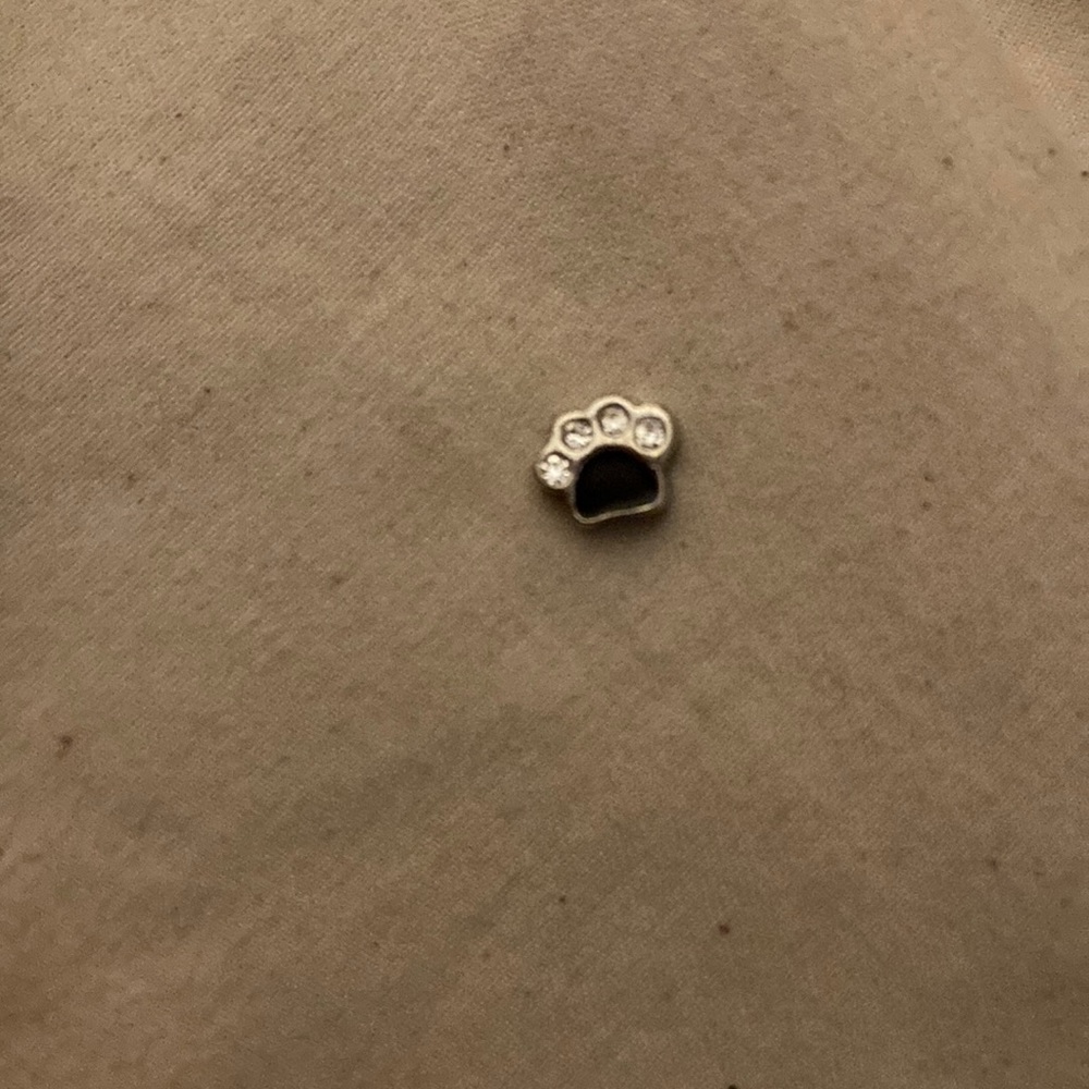 Origami Owl charm